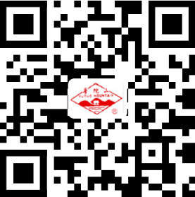 头玩app电脑版